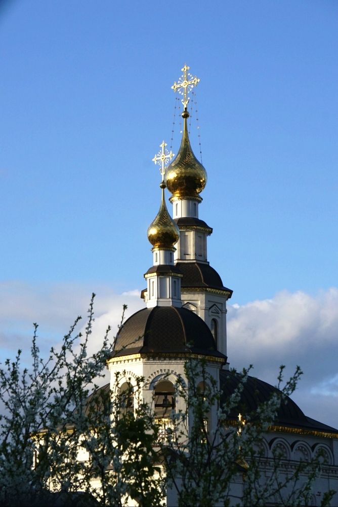 Фотография автора Светлана Егорова