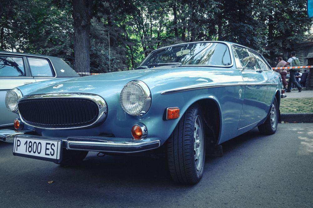 Фотография автора Oleg Podlesnykh