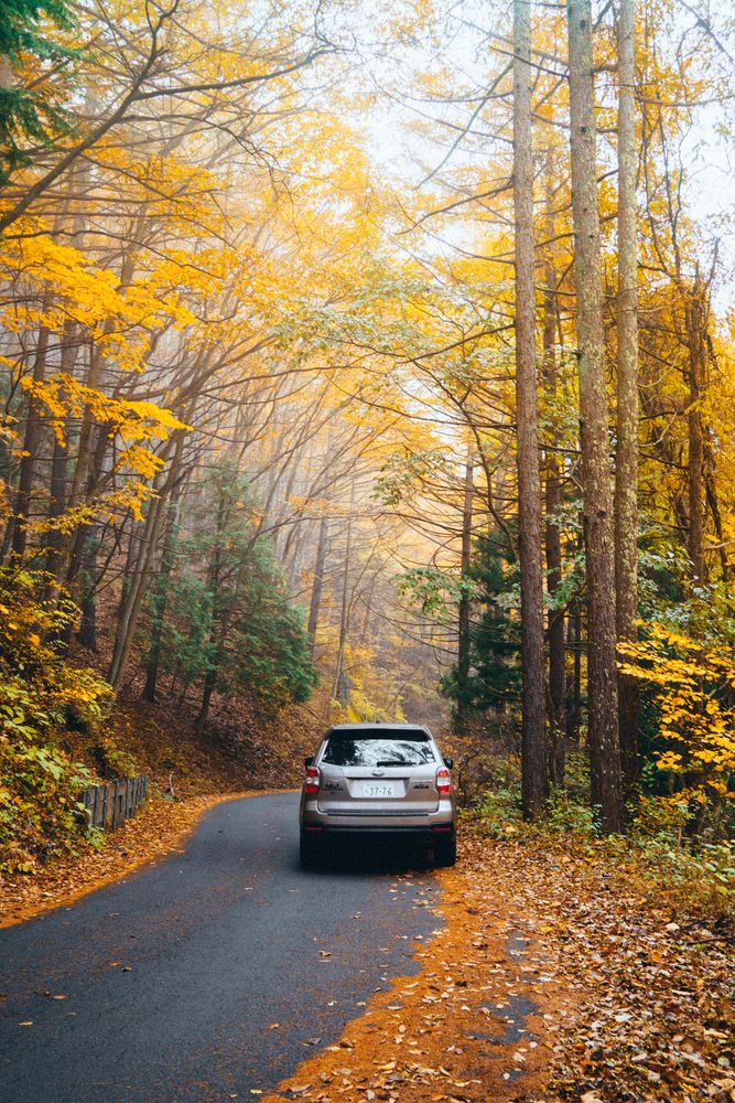 Фотография автора Luong Quyen