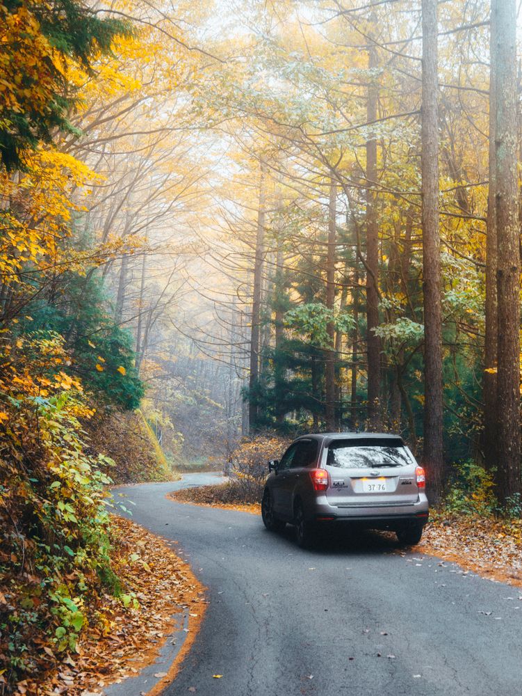 Фотография автора Luong Quyen