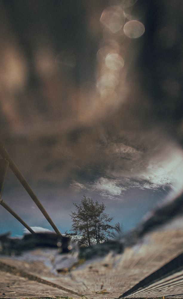 Photograph by Ирина Usanova