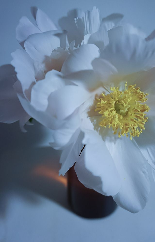 Photograph by Елена Гусева