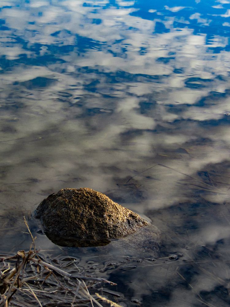 Photograph by Раиса Грабко