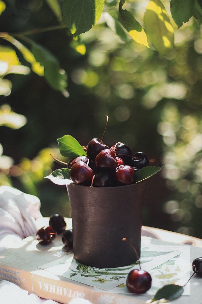 Photograph by Юлия Соболева