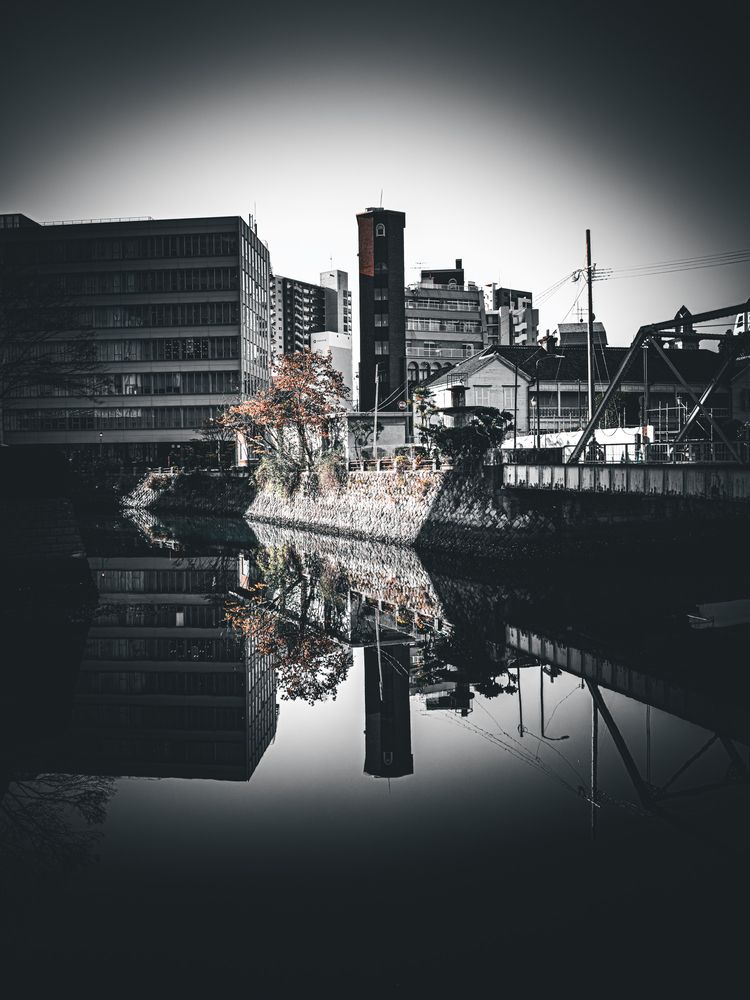 Photograph by ryuichi