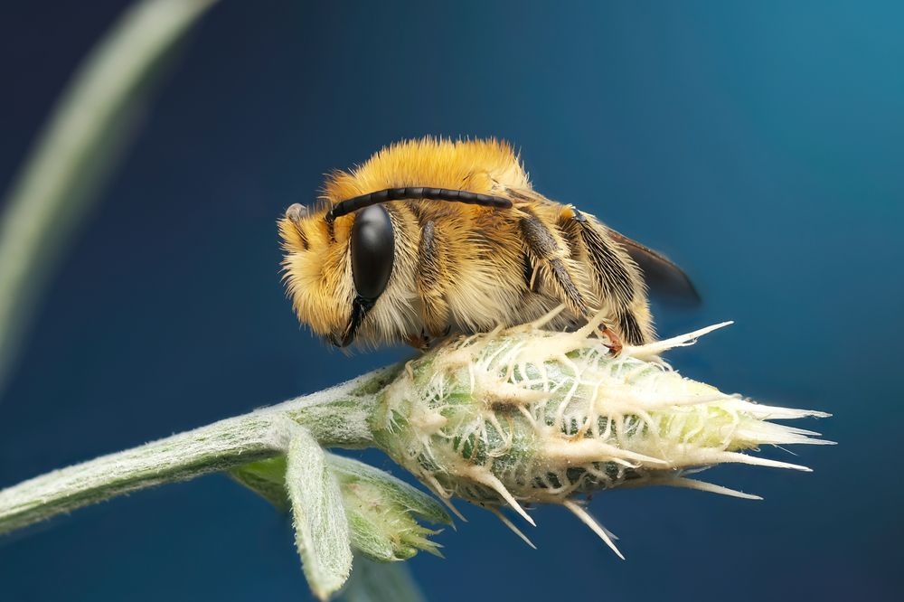 Фотография автора Васильев Роман