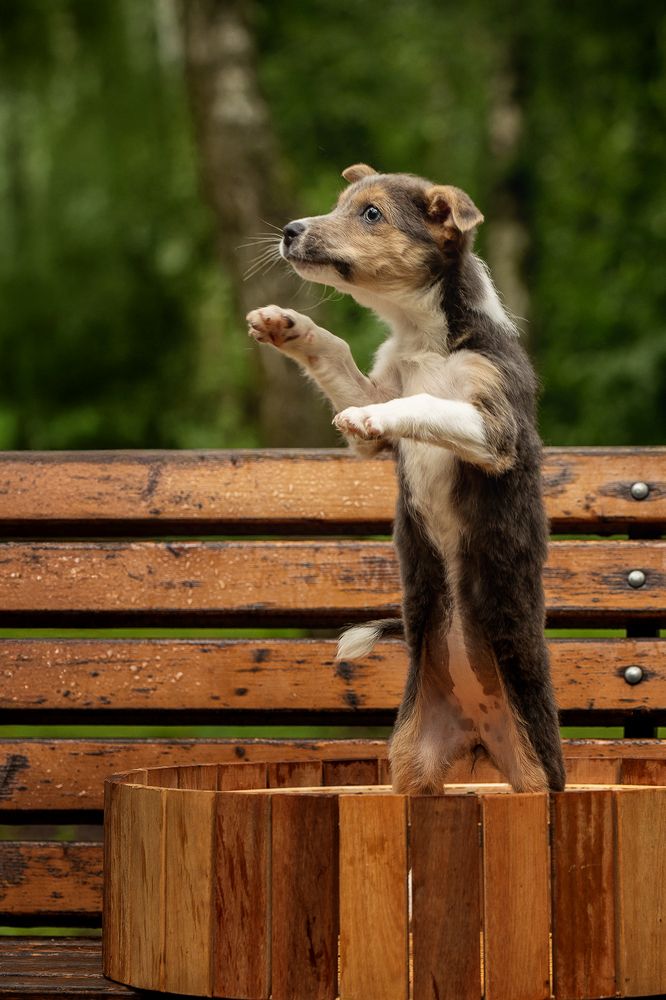 Photograph by Елена Самусенкова