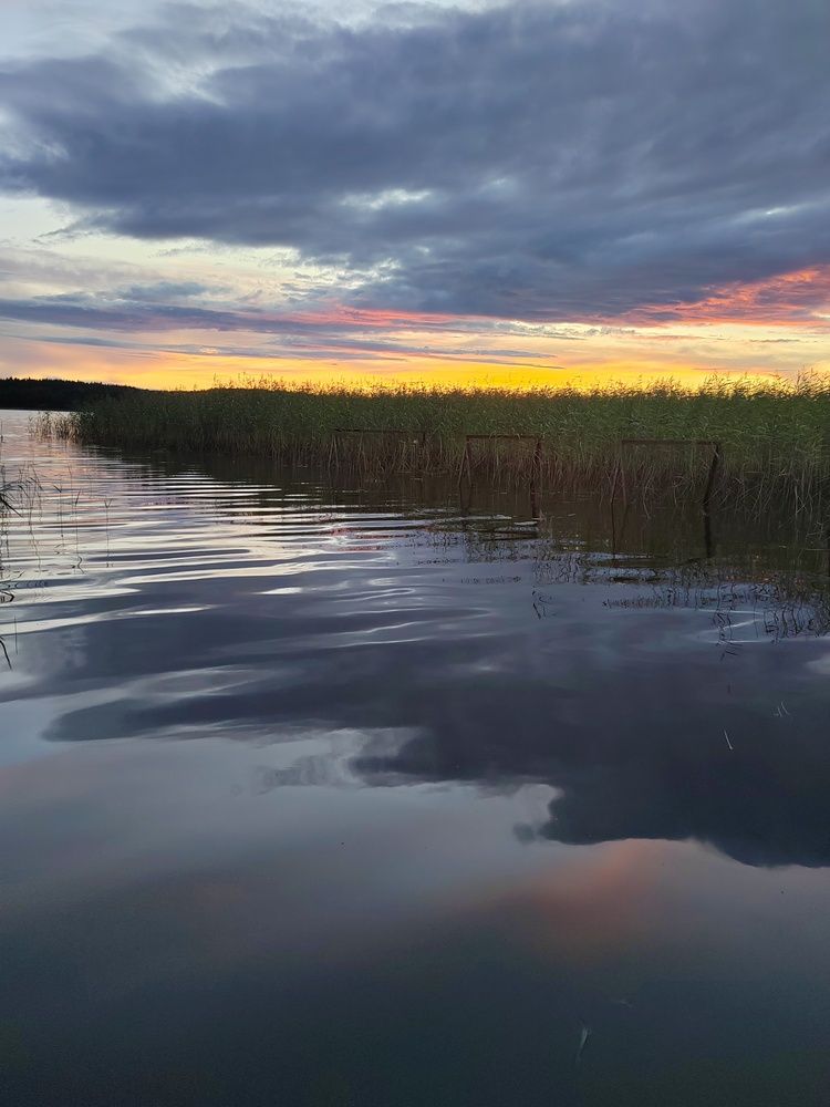 Photograph by Ольга Рыбина