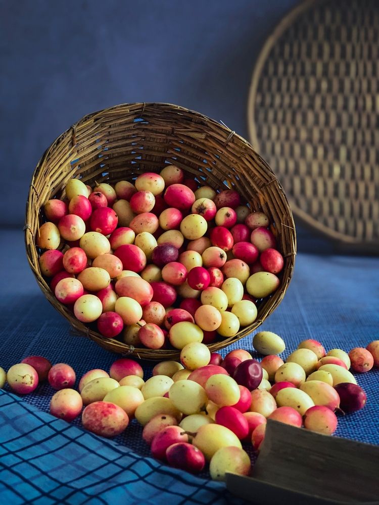 Фотография автора Farhan Rahman