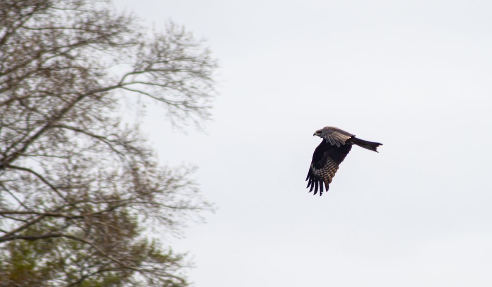 Photograph by Сергей Хранитель