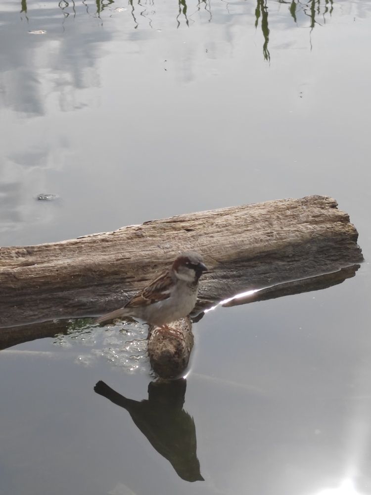 Photograph by Ольга Рыбина