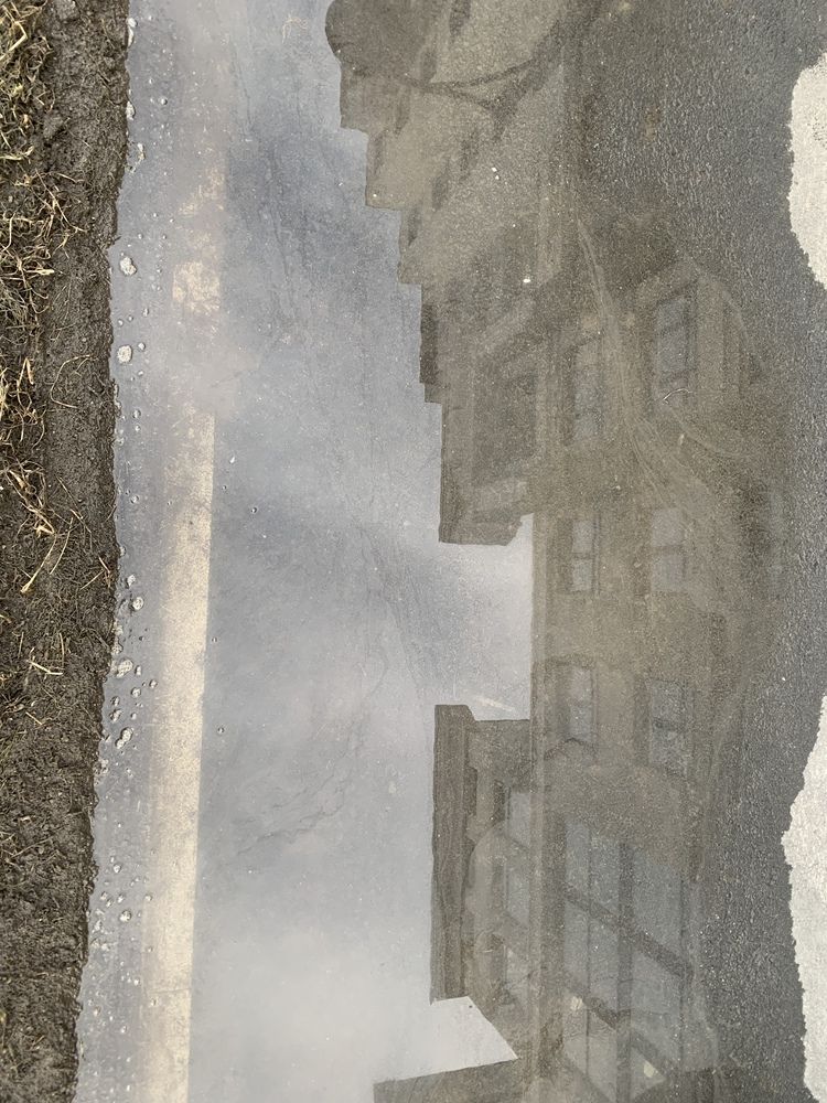 Photograph by Анастасия Мусихина