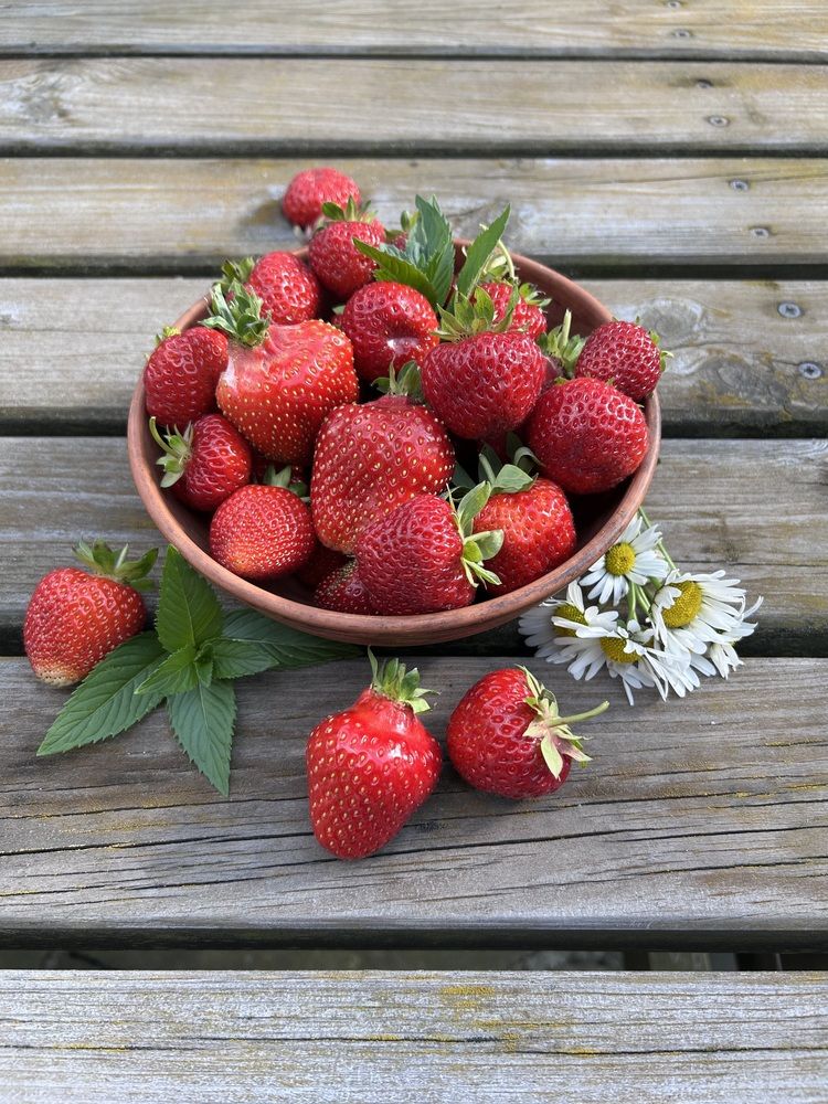 Photograph by Ольга Евтухова