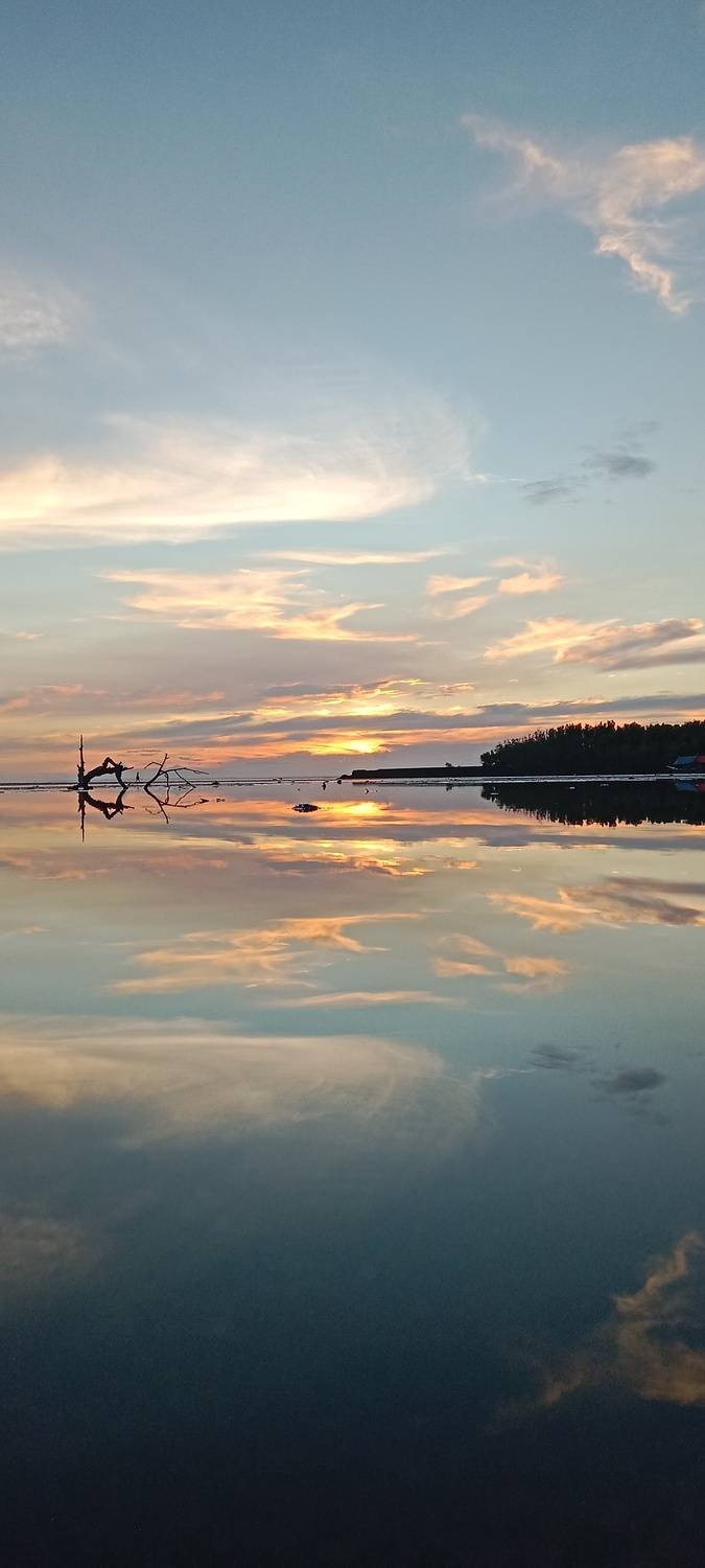 Photo #12307497