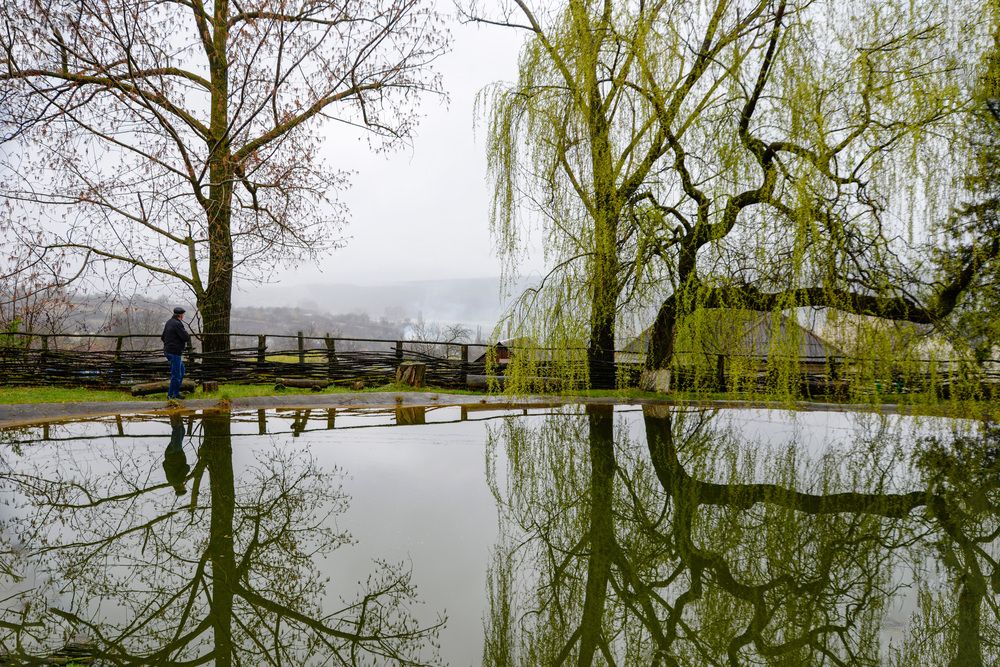 Photograph by Светлана Фокша