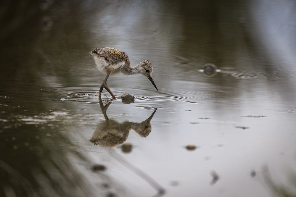 Photograph by Benny Chan