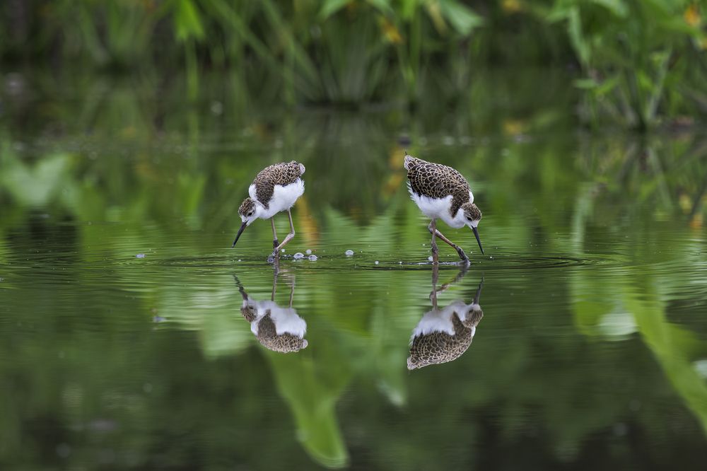 Photograph by Benny Chan