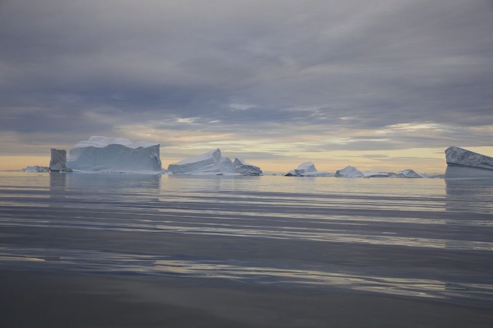 Photograph by Одаренко Ольга