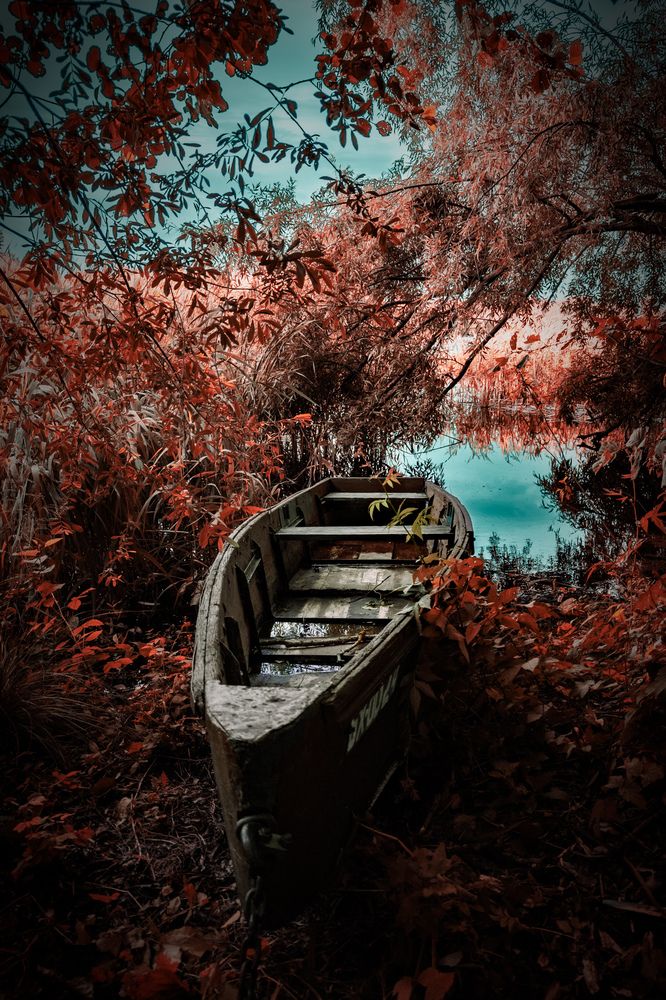 Фотография автора Геннадий Ломеко