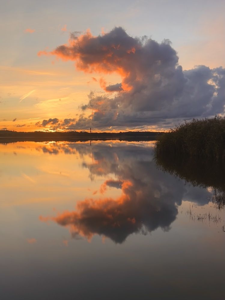 Фотография автора Veronika Lemke