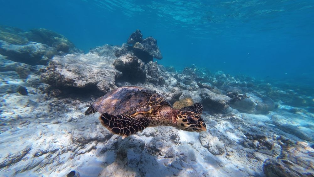 Photograph by Илья Ушак