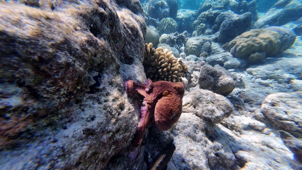 Photograph by Илья Ушак