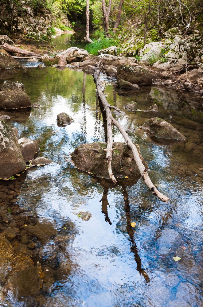 Photograph by Dragan Leles