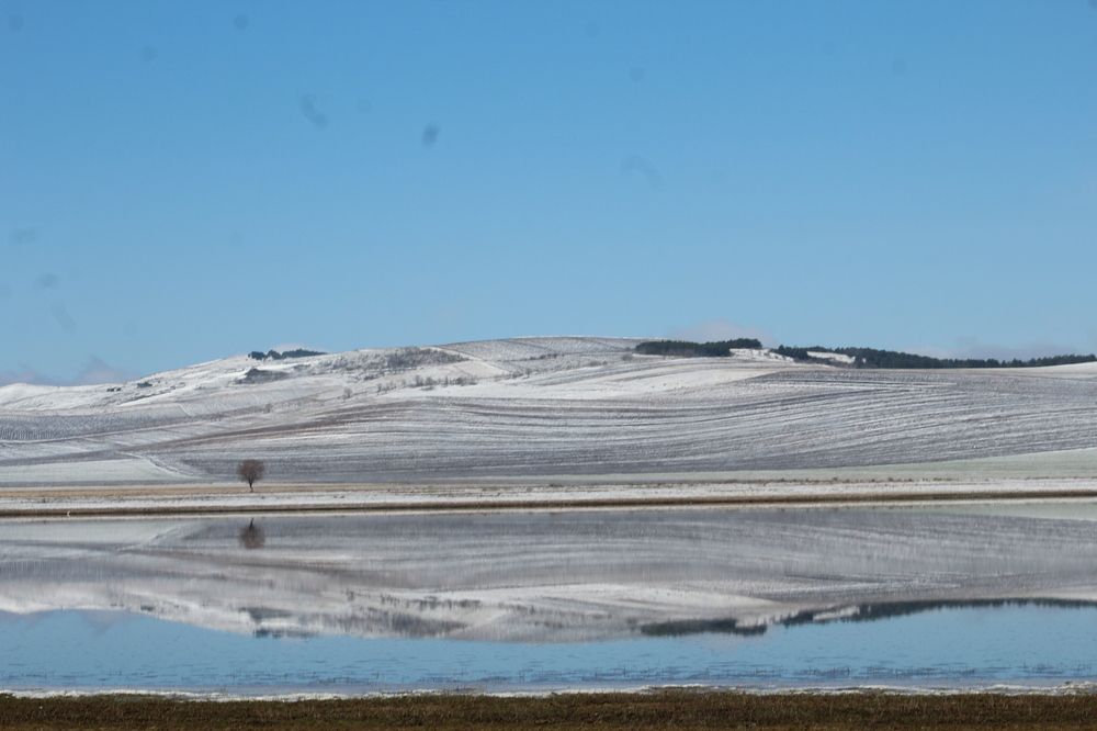 Фотография автора Mariami Sanishvili