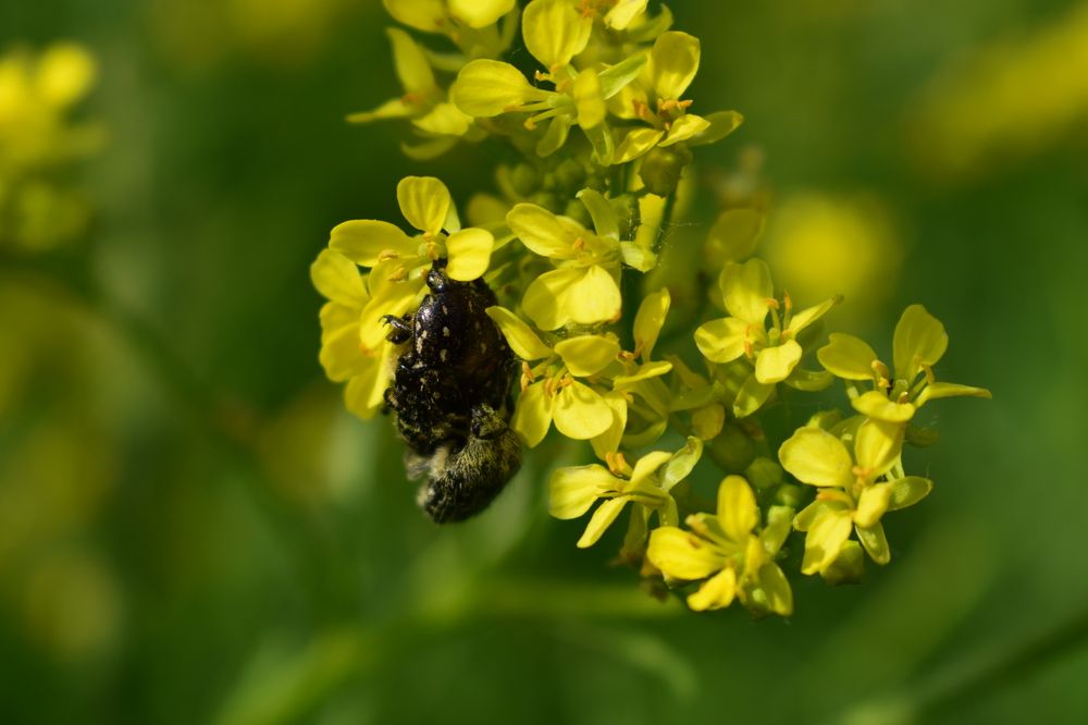 Photograph by Наталья Еременко