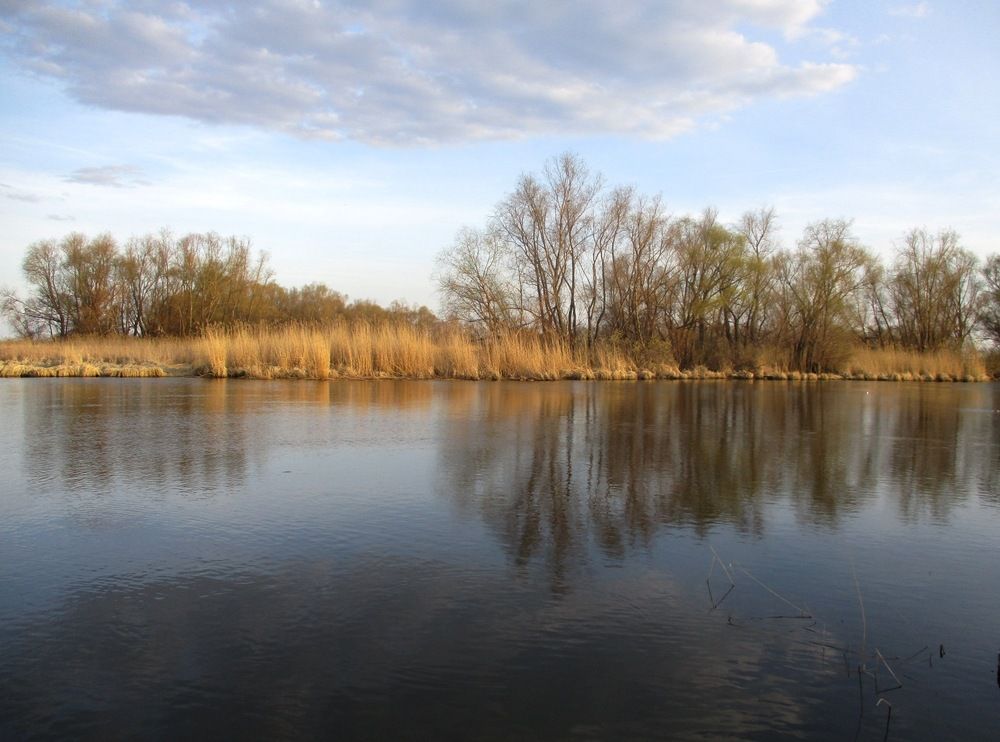 Photograph by Татьяна Иваненкова