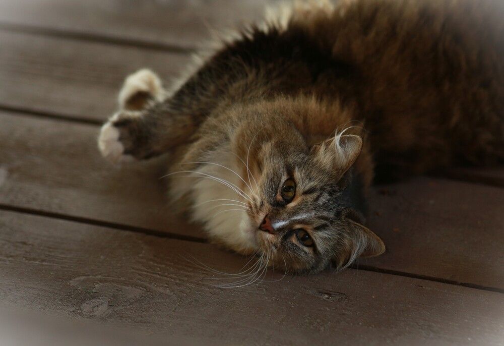Photograph by Марина Юрченко