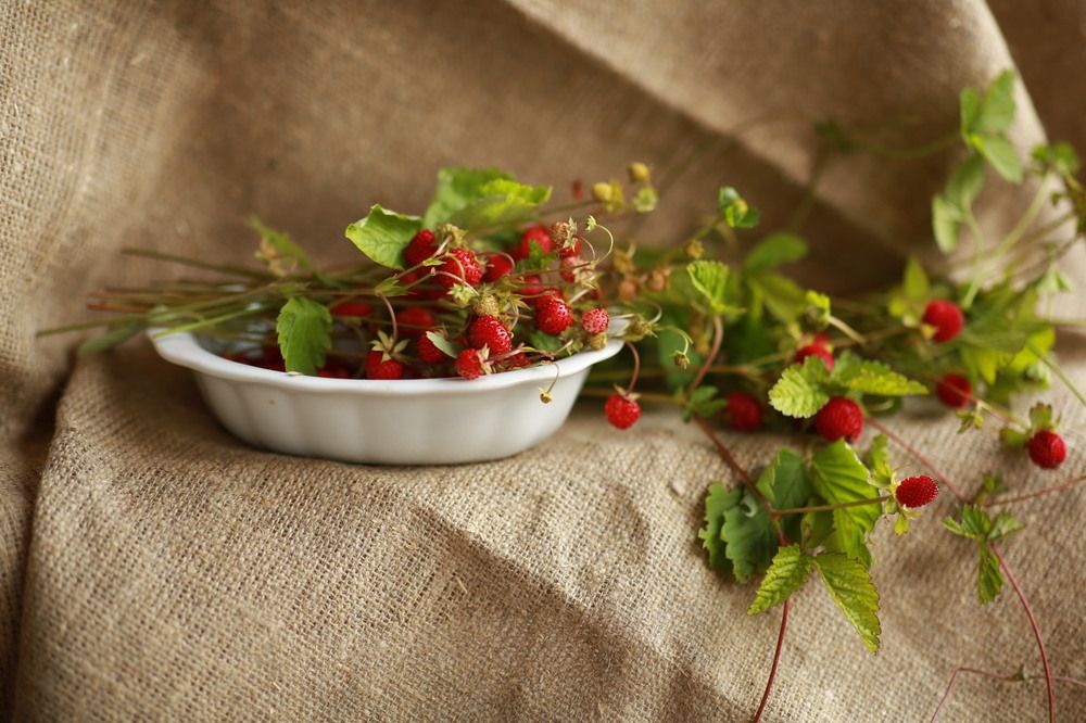 Photograph by Марина Юрченко