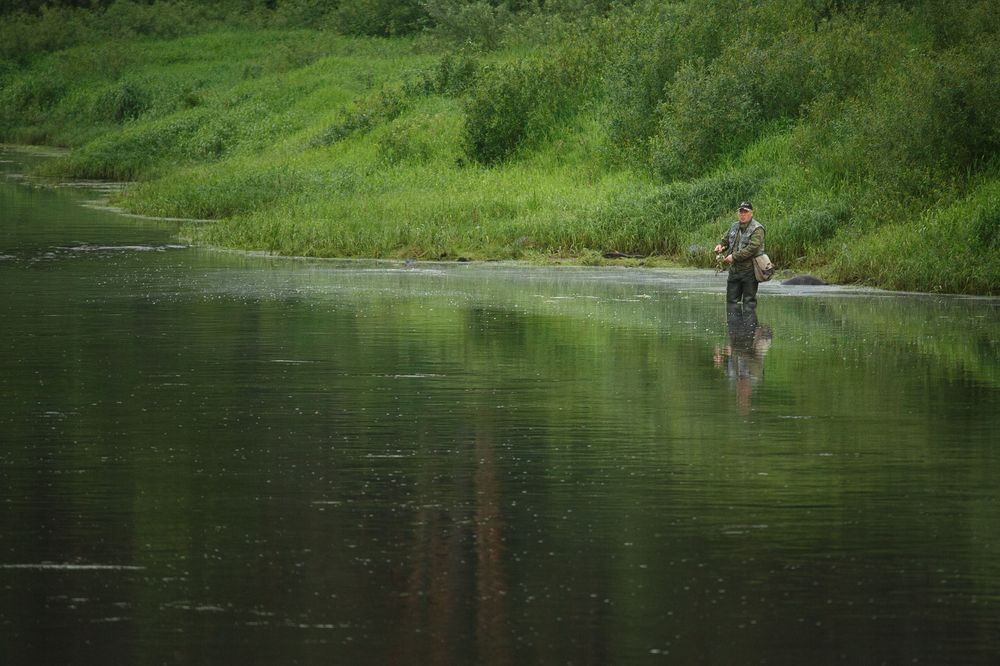 Photograph by Дарья Улюсова