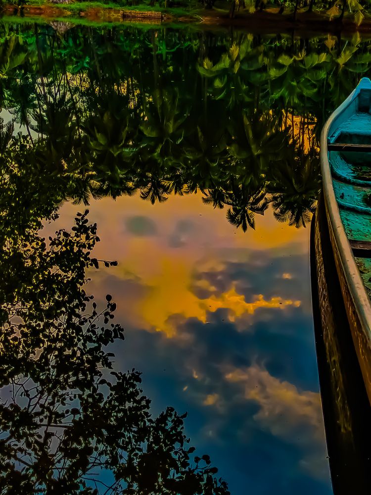 Reflection of nature