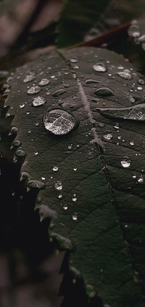 Photograph by Евгения Ульянова