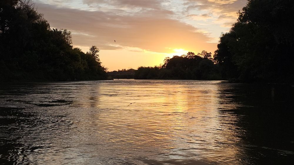 Фотография автора Александр Петуховский