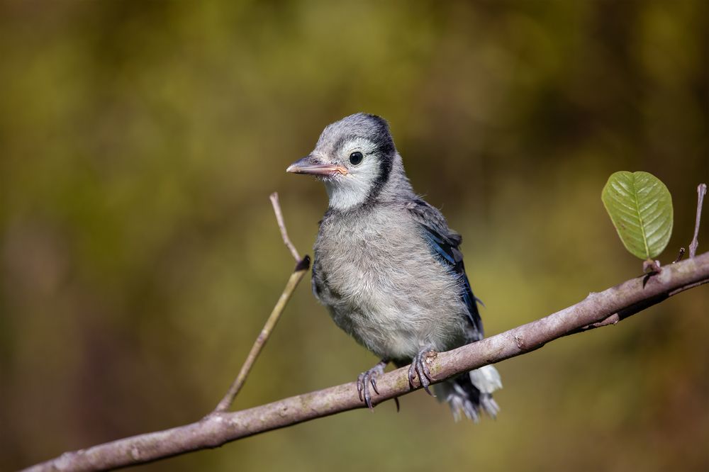 Фотография автора Татьяна Анпилова