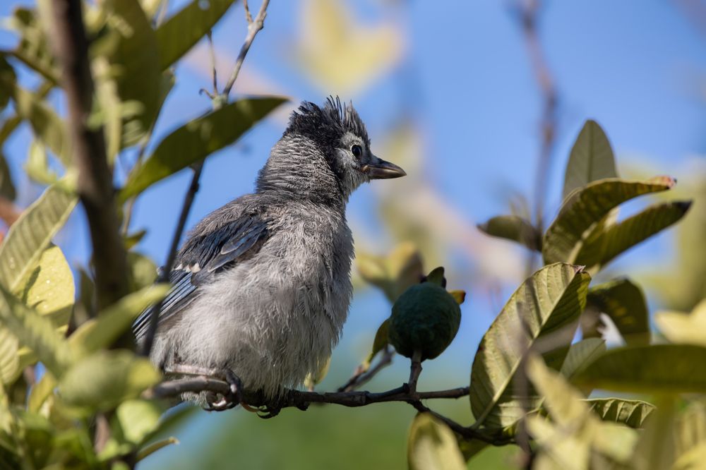 Фотография автора Татьяна Анпилова
