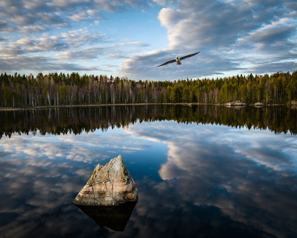 Вечер на озере