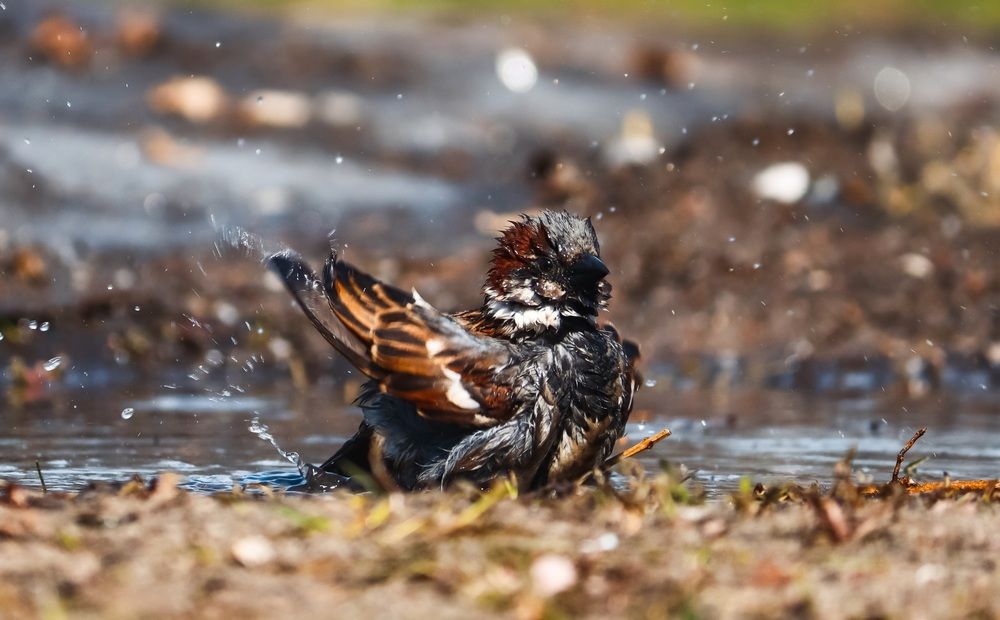 Photograph by Хельга Кольцова