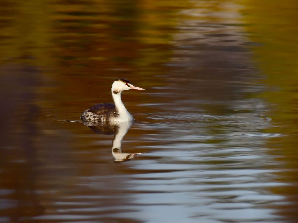 Photograph by Николай Абакумов