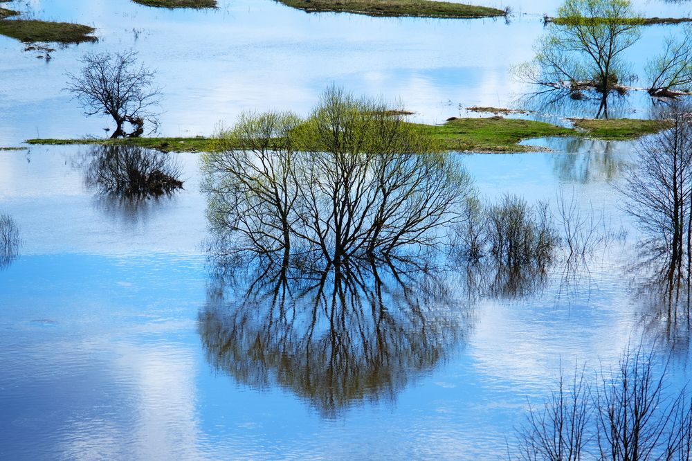 Photograph by Владимир Кирсанов