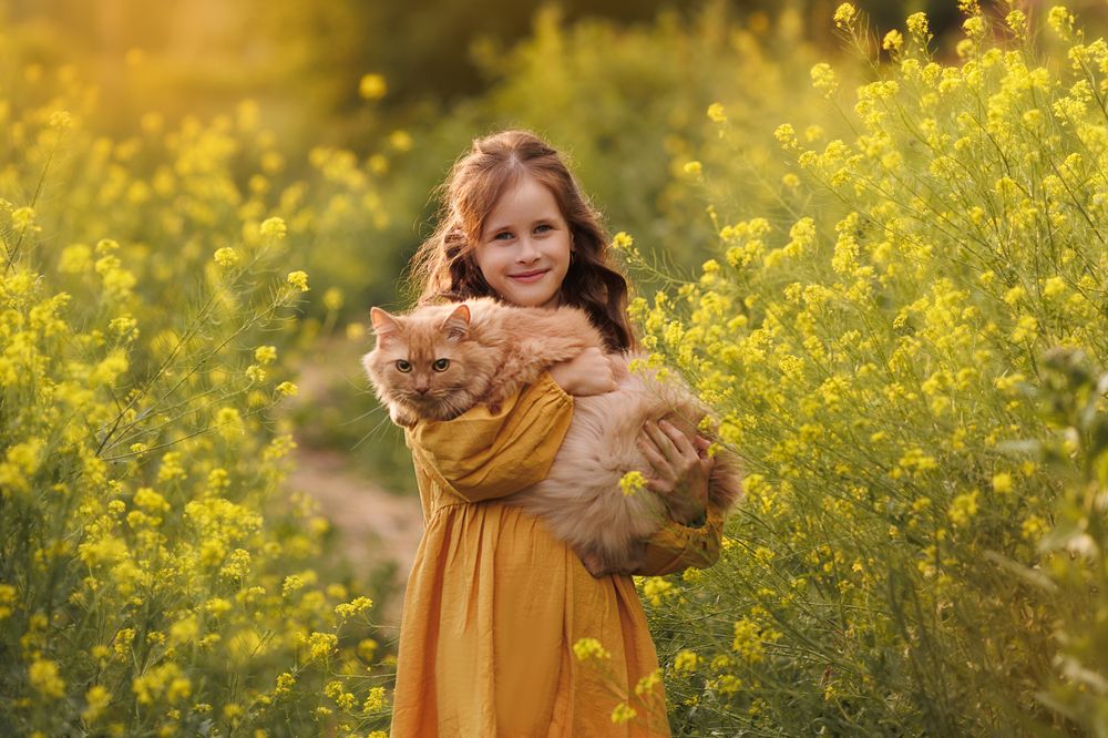 Фотография автора Тамара Дмитриева