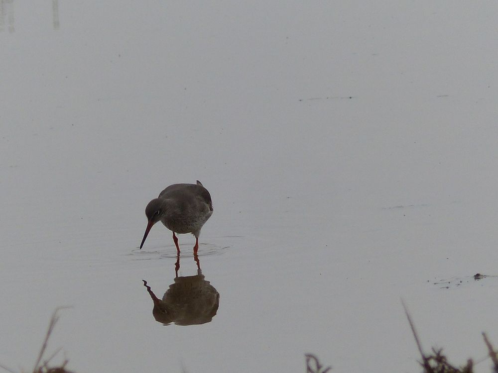 Photograph by Isabella Northrop