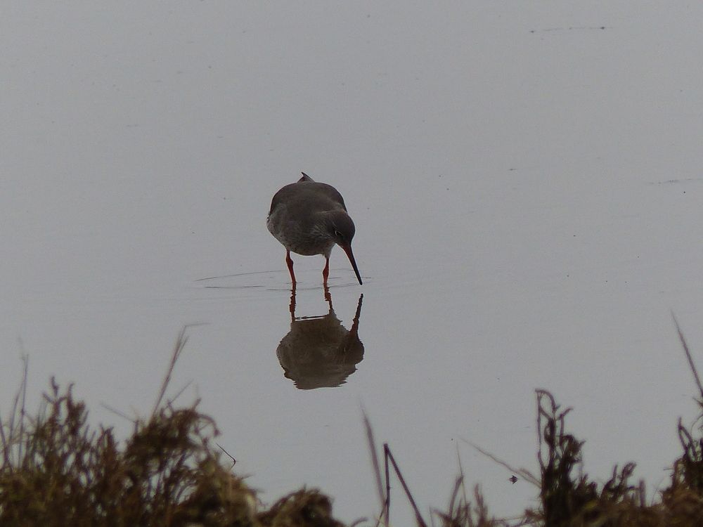 Photograph by Isabella Northrop