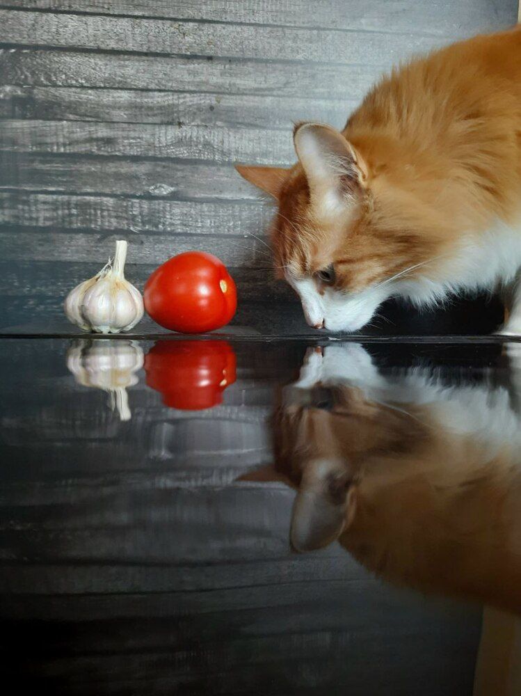 Photograph by Ирина Лукашова