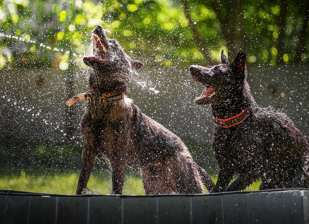 Photograph by Юлия Григорьева