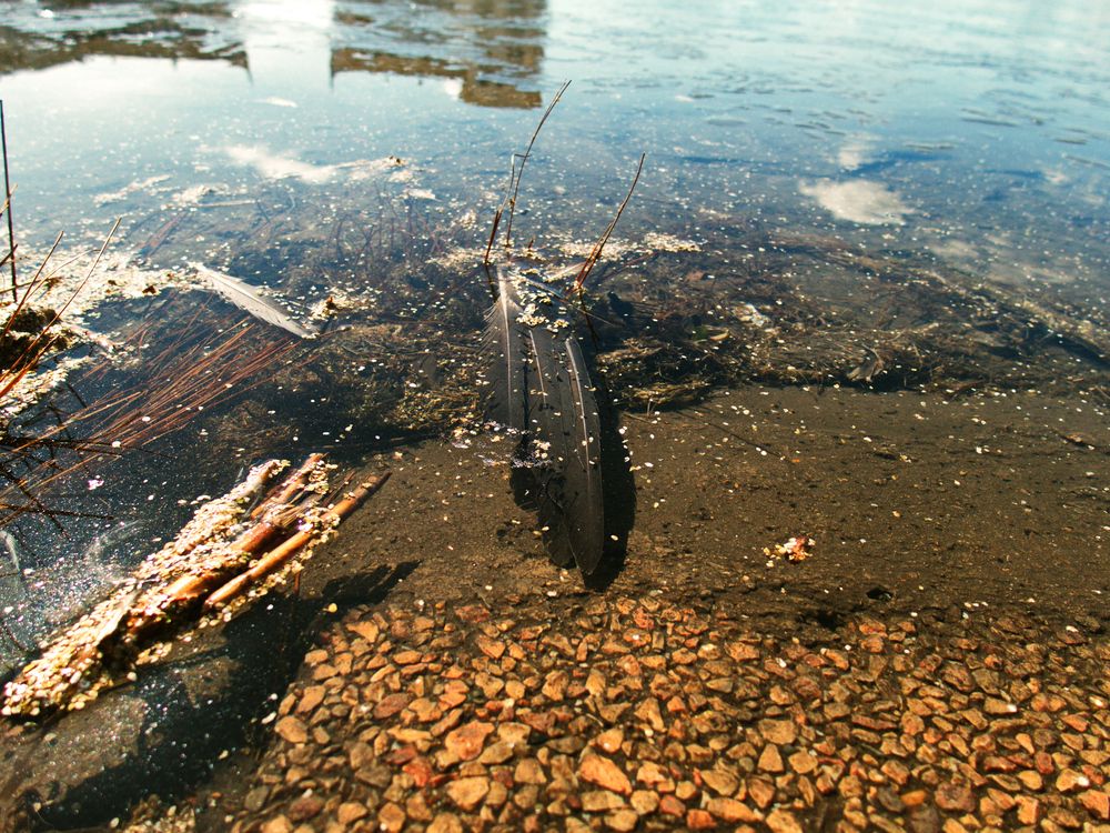 Photograph by Adil Kuandykov