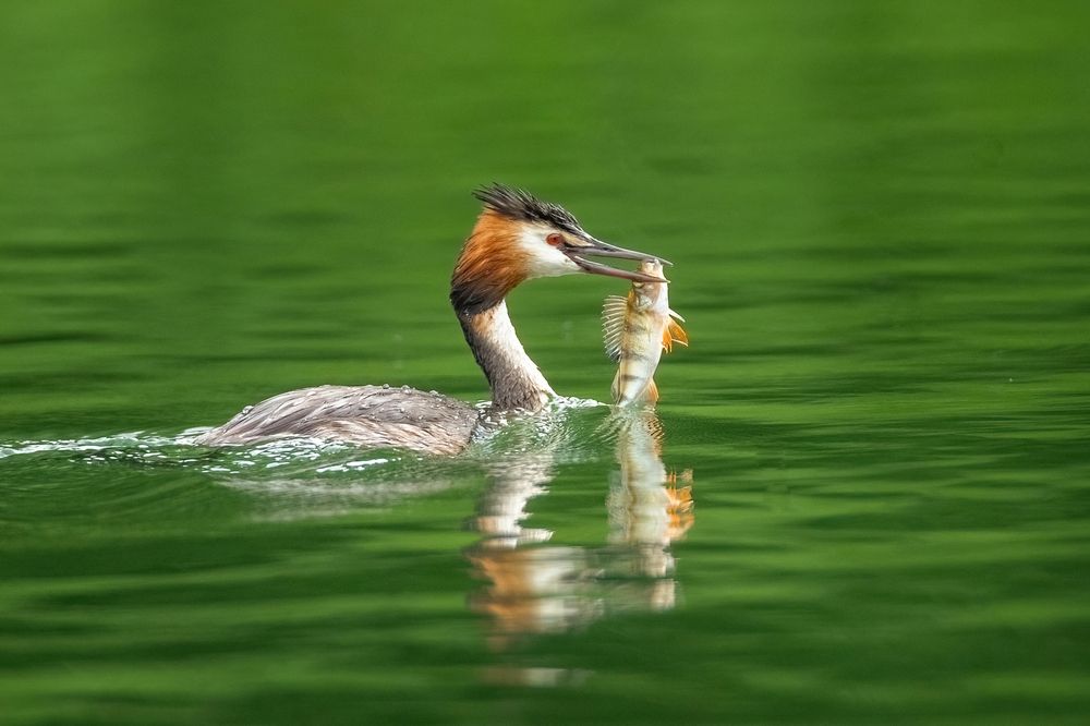 Photograph by Власов Егор
