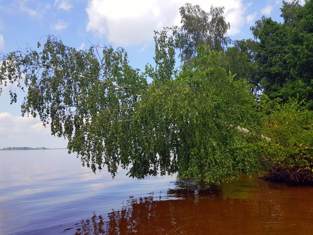 Photograph by Глеб Кузьминых